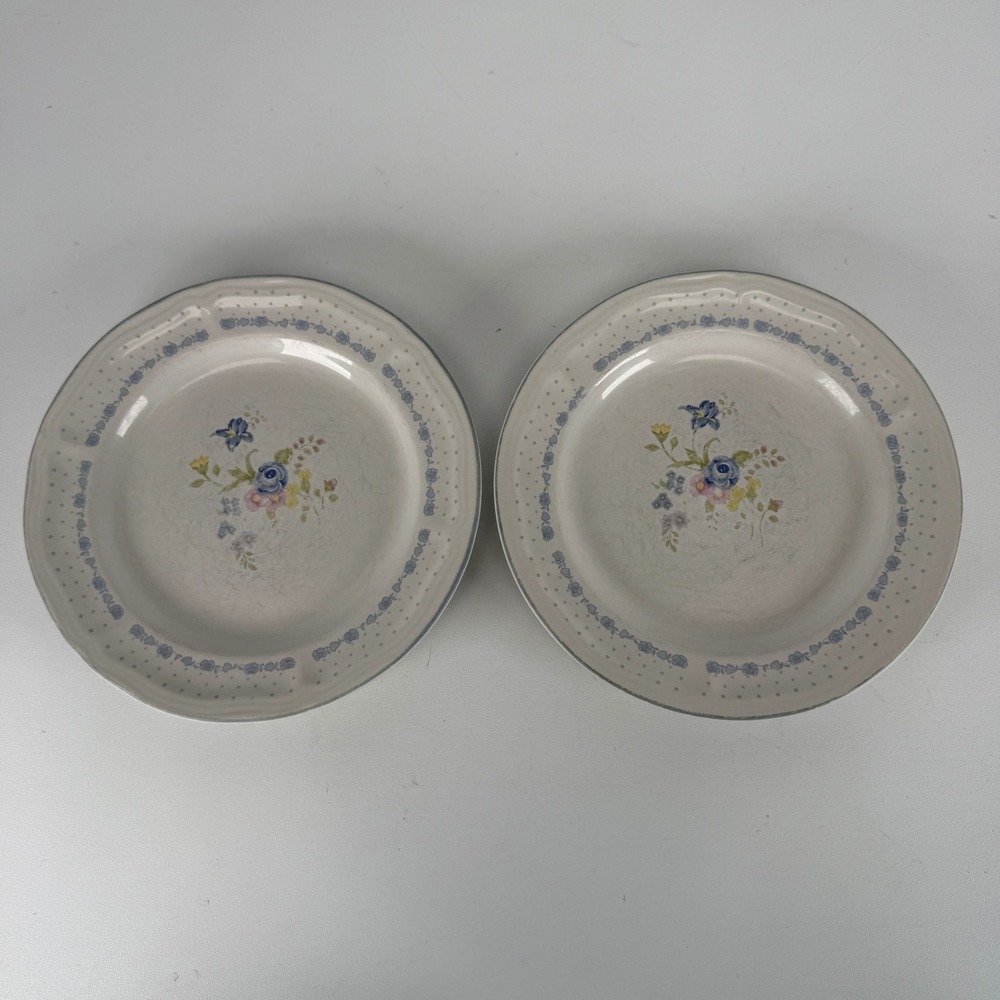 Tienshan Stoneware Salad Plates Set of 2 Blue Rose Floral Polka Dot 7.5"